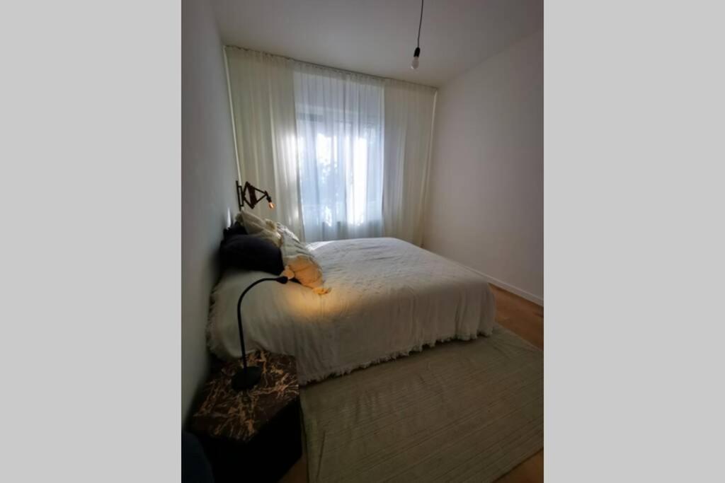 De Flat - Licht En Luxueus Bij Het Zuid Apartment Antwerp